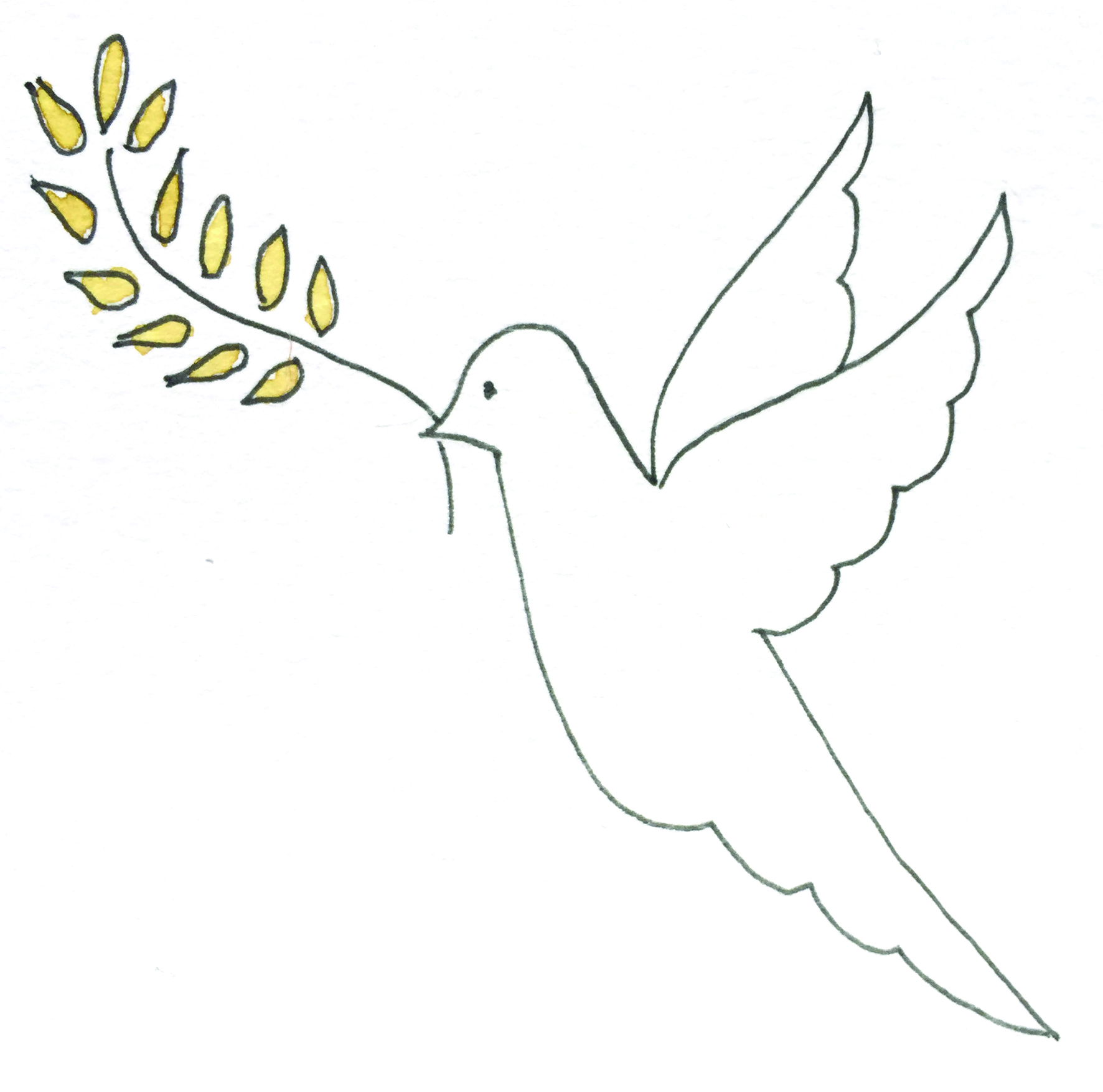 Colombe