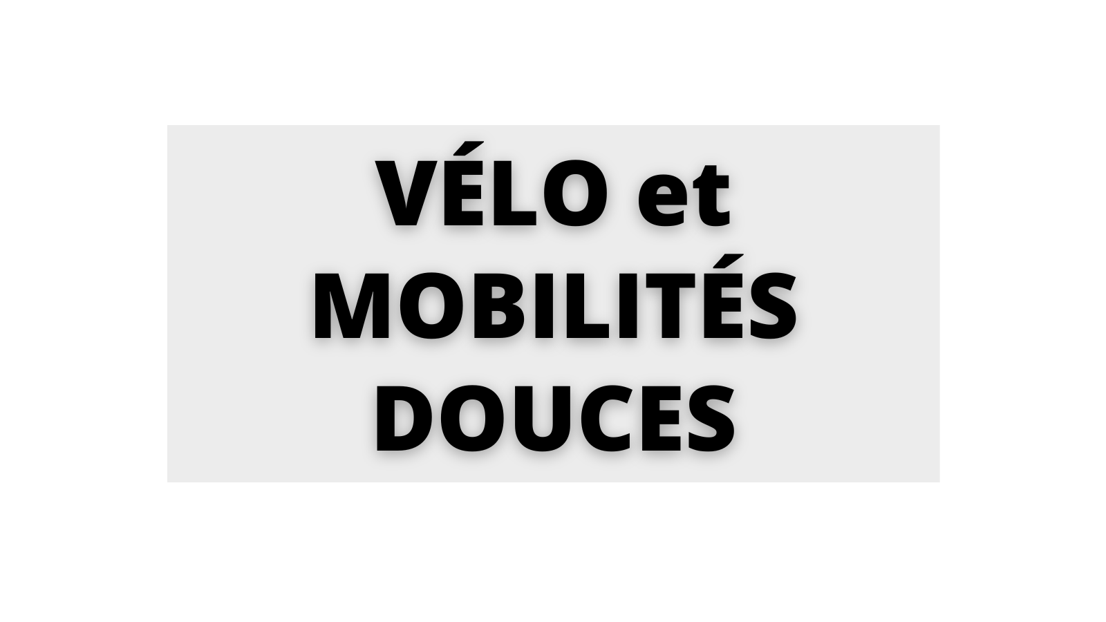 Vignette transport velo