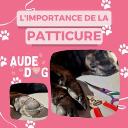 L'importance de la patticure !