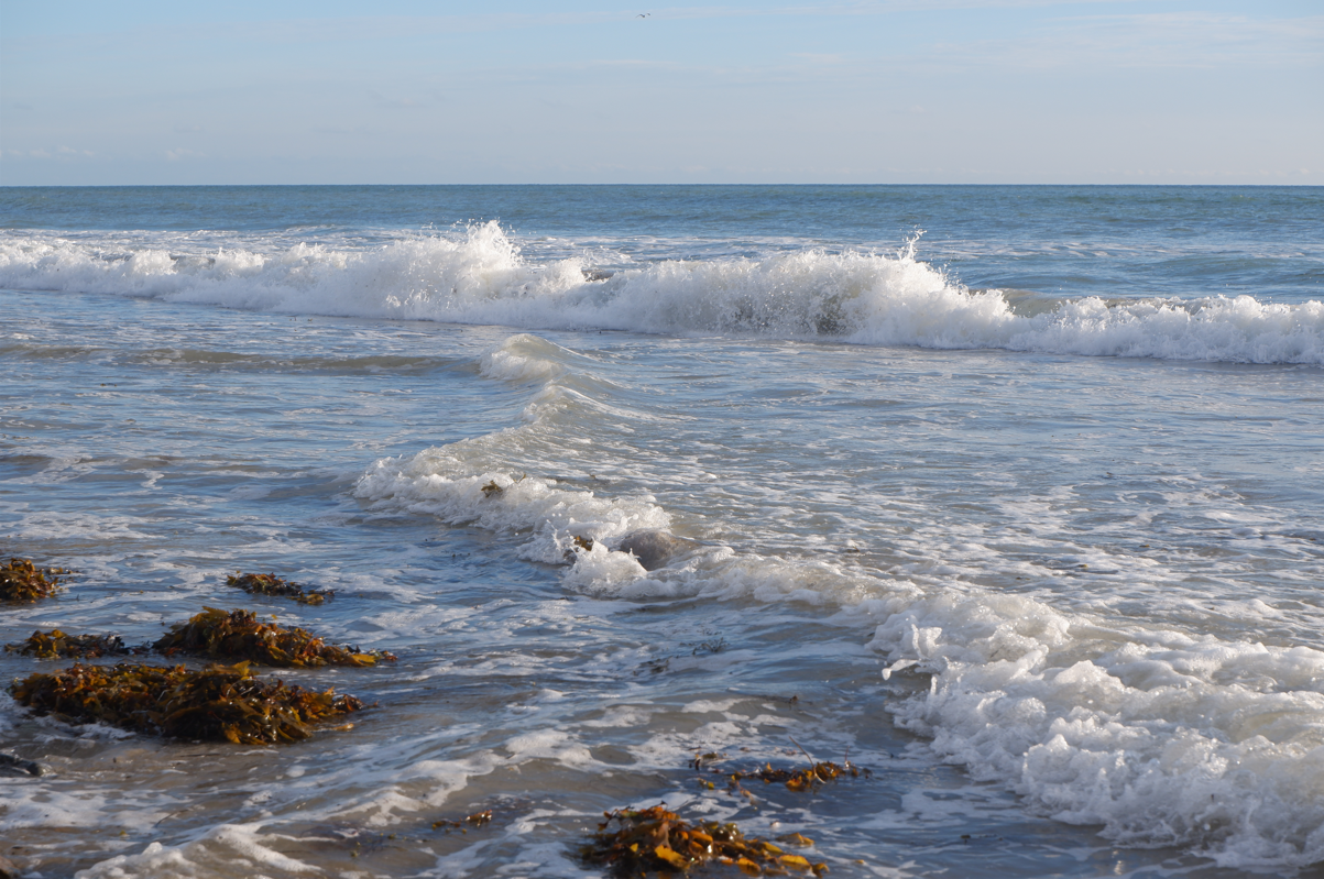 Capture d ecran 2023 10 22 140757