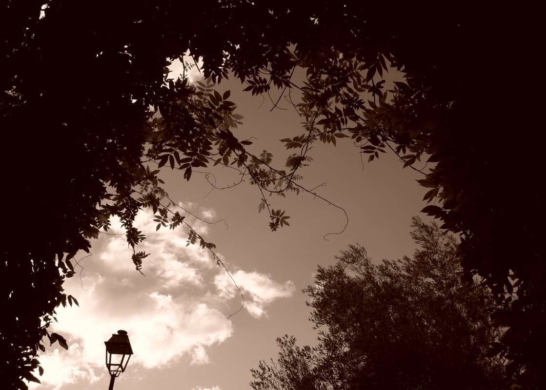 Capture d ecran 2023 09 26 190833