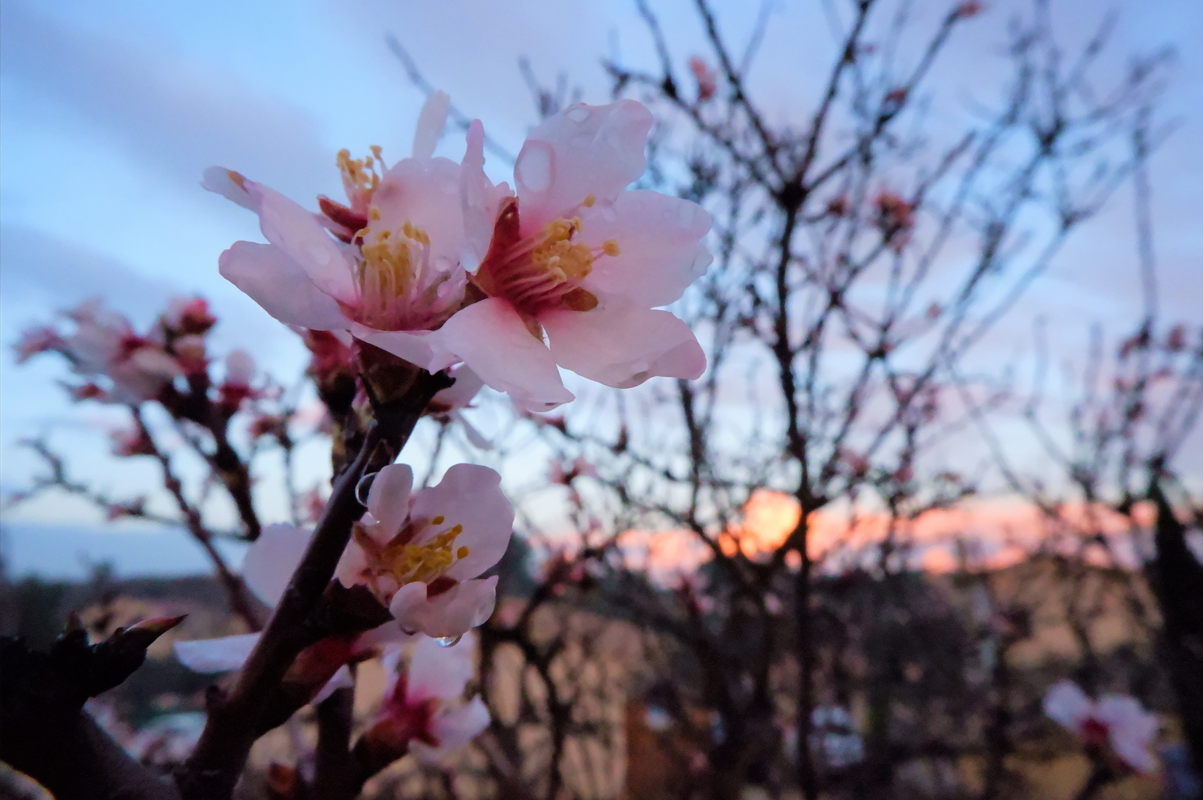 Capture d ecran 2023 10 23 080056