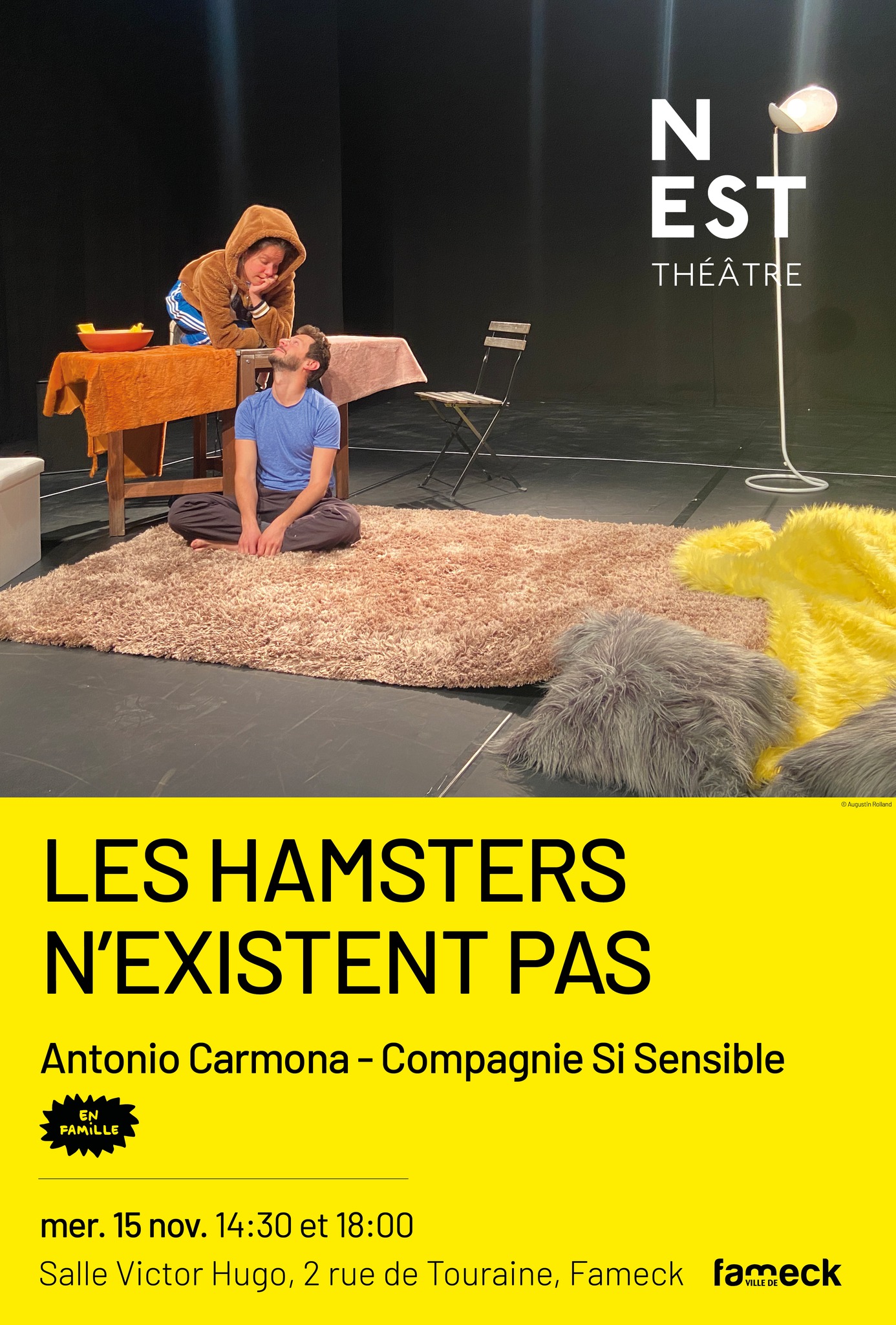 Les hamsters n'existent pas
