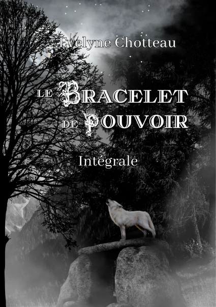 Couv-Bracelet-de-Pouvoir-l-integrale