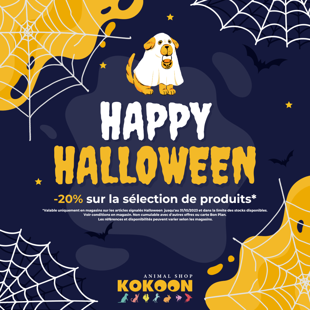 Promotions Halloween
