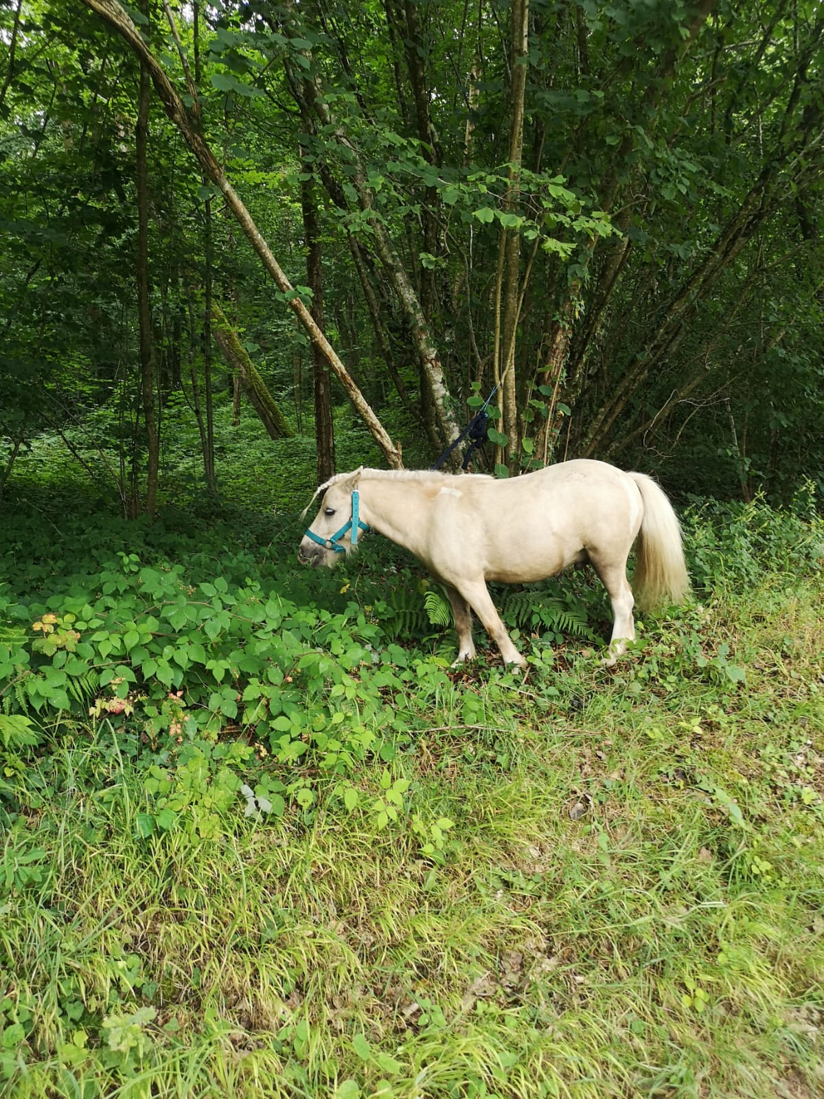 IMG-20231027-WA0002