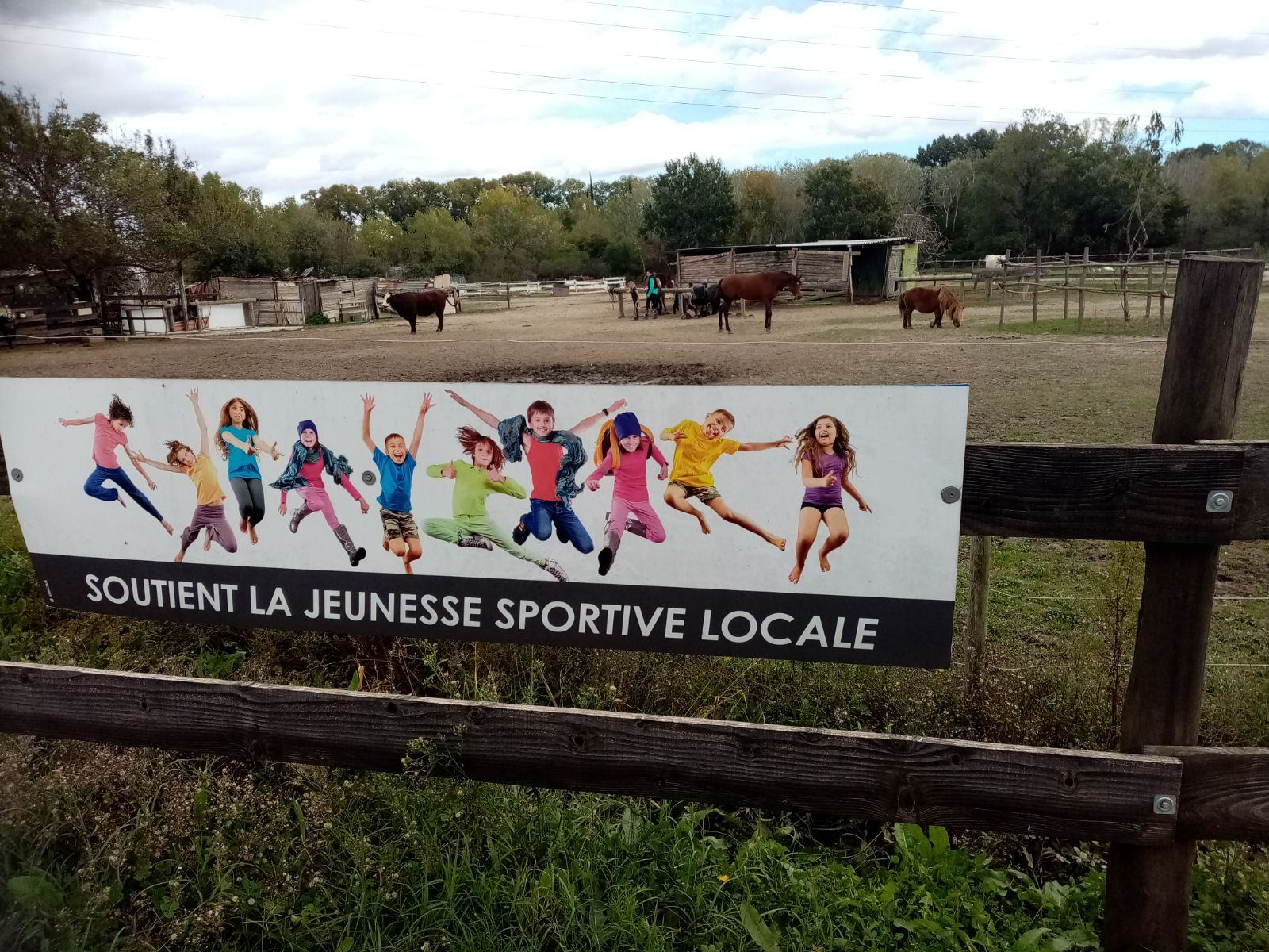 Image0000001 81 
