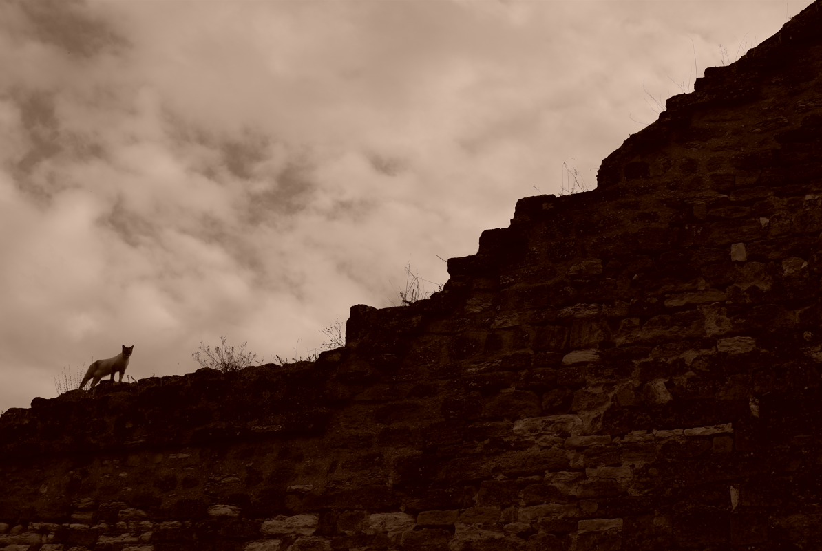 Capture d ecran 2023 10 26 235625