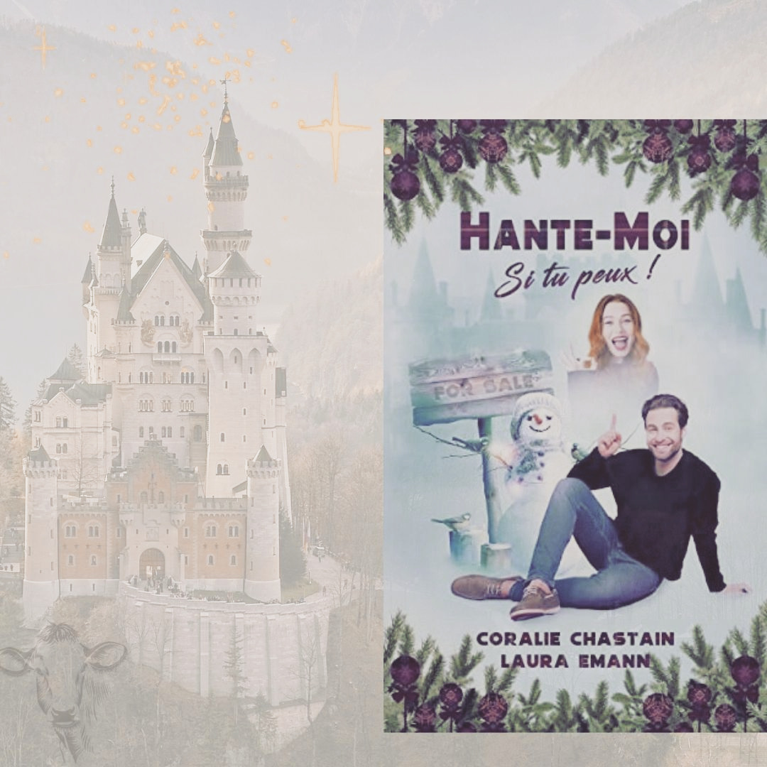 Chronique de "Hante-moi, si tu peux !" par Chouffie33