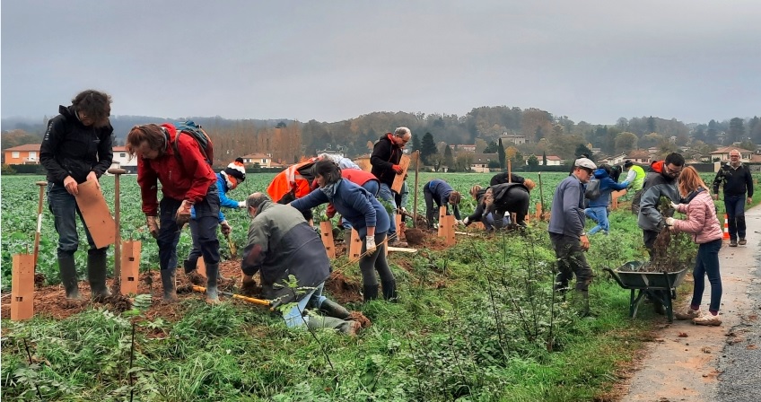 Plantations hiver 2023-2024 - A vos agendas !