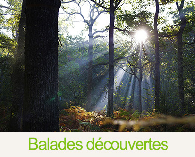 Balades