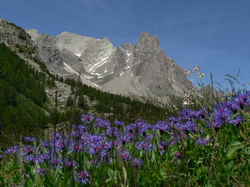 Pointe des cerces et main de crepin