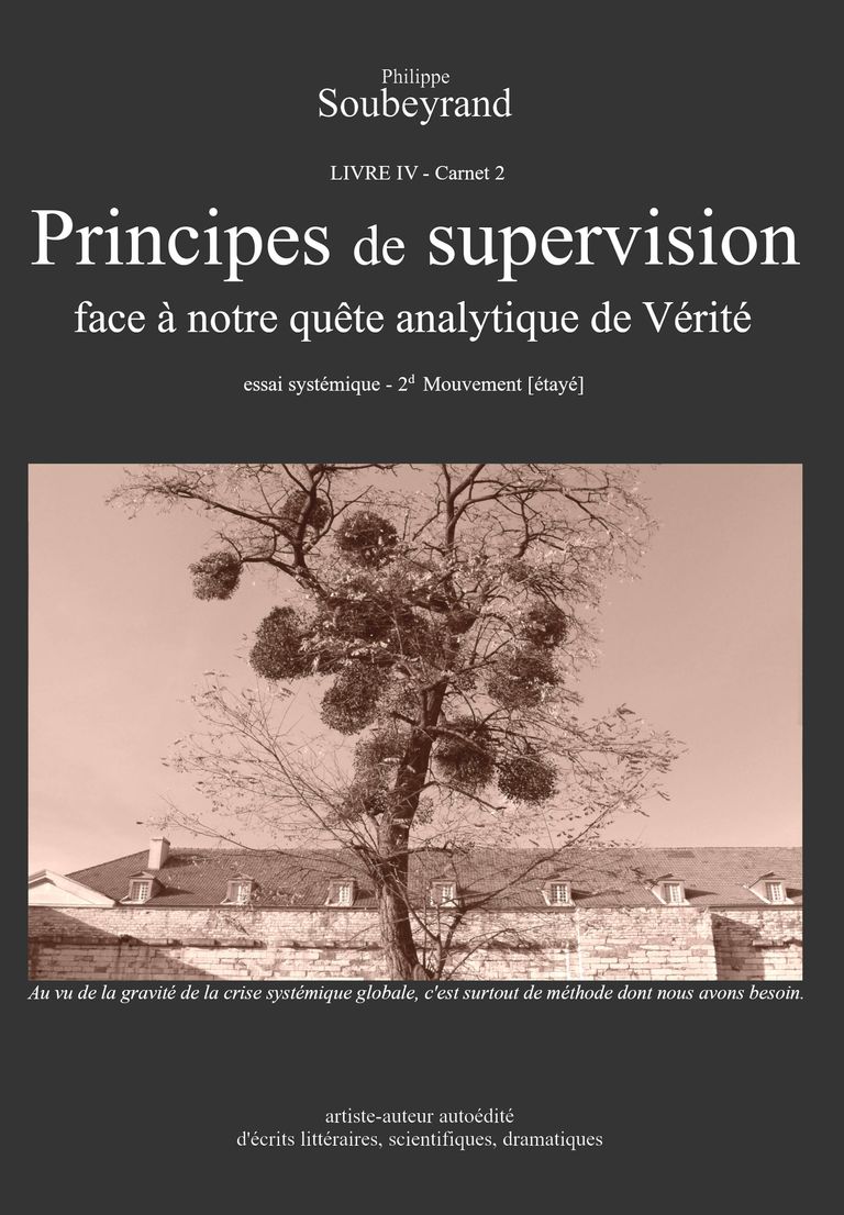 Philippe Soubeyrand - Couverture du LIVRE IV - Carnet 2 - Principes de supervision : face à notre quête analytique de Vérité - ISBN 978-2-9580404-3-7 - novembre 2023 - 110 p.