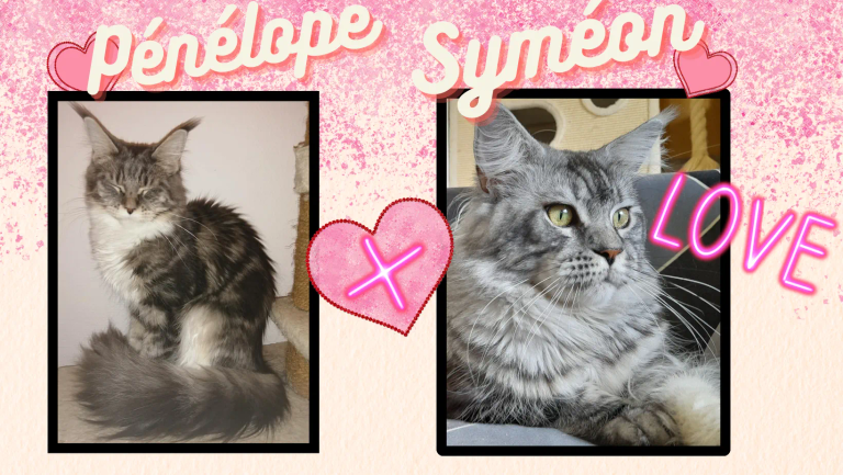 Penelope-Symeon