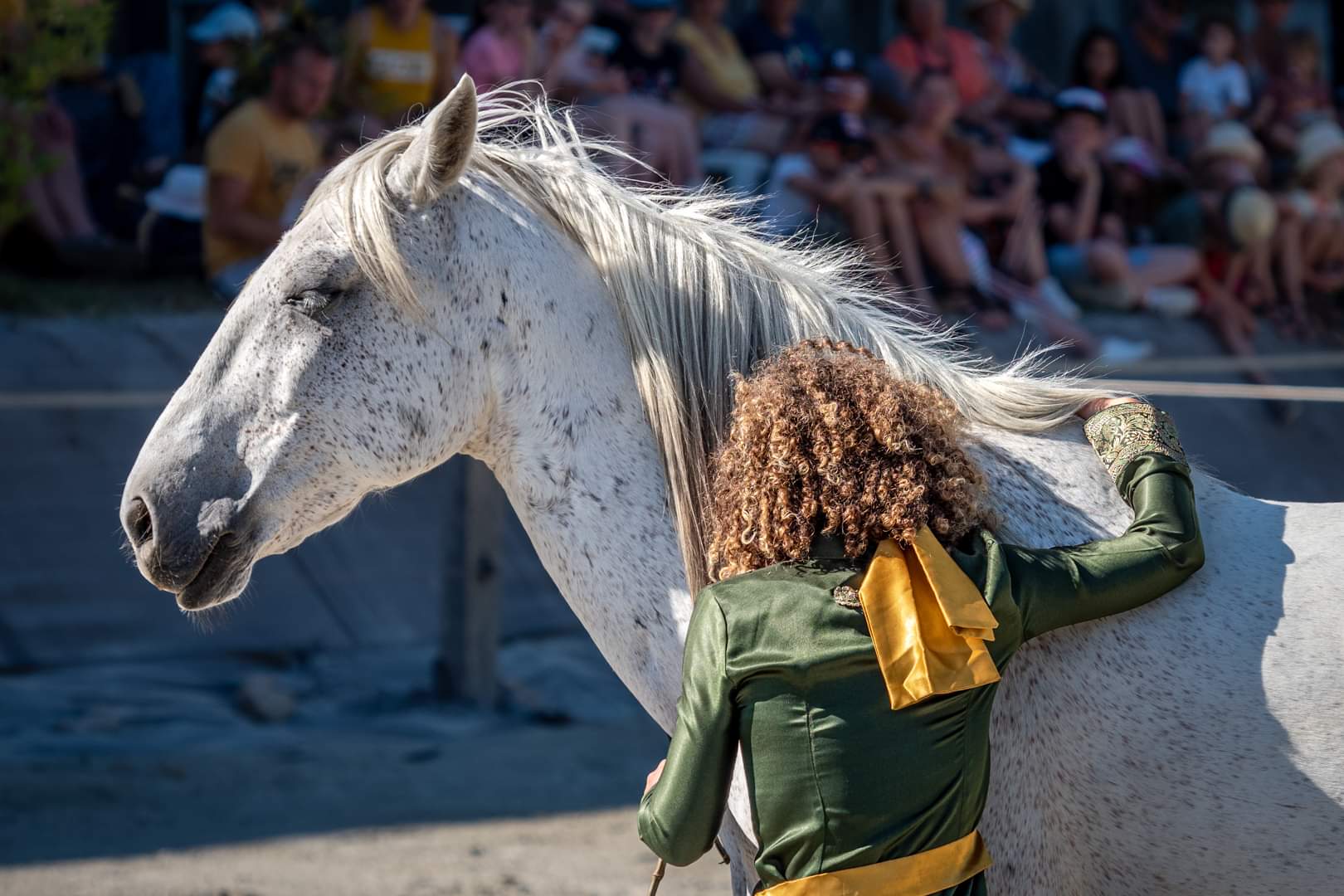 Received 3300330433558043