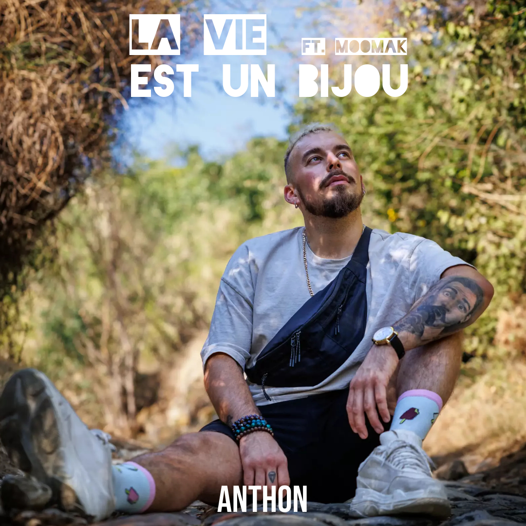 La-vie-est-un-bijou-Pochette