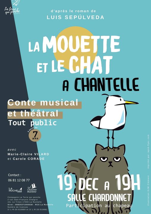 La-mouette-et-le-chat