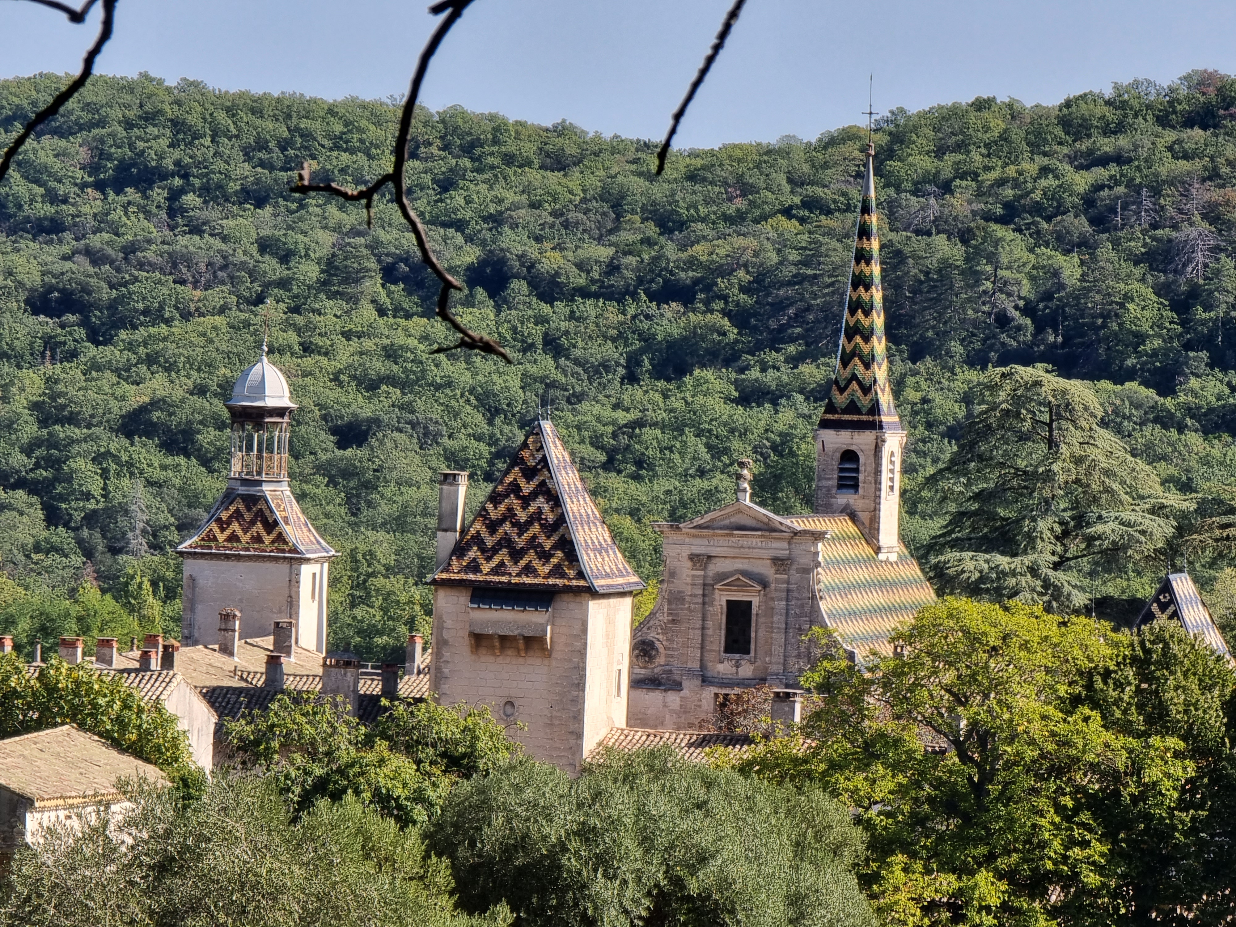 Foret-de-Valbonne