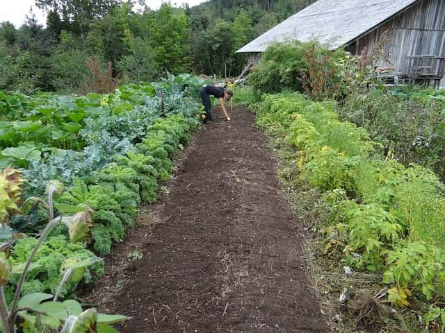 les solutions naturelles au jardin