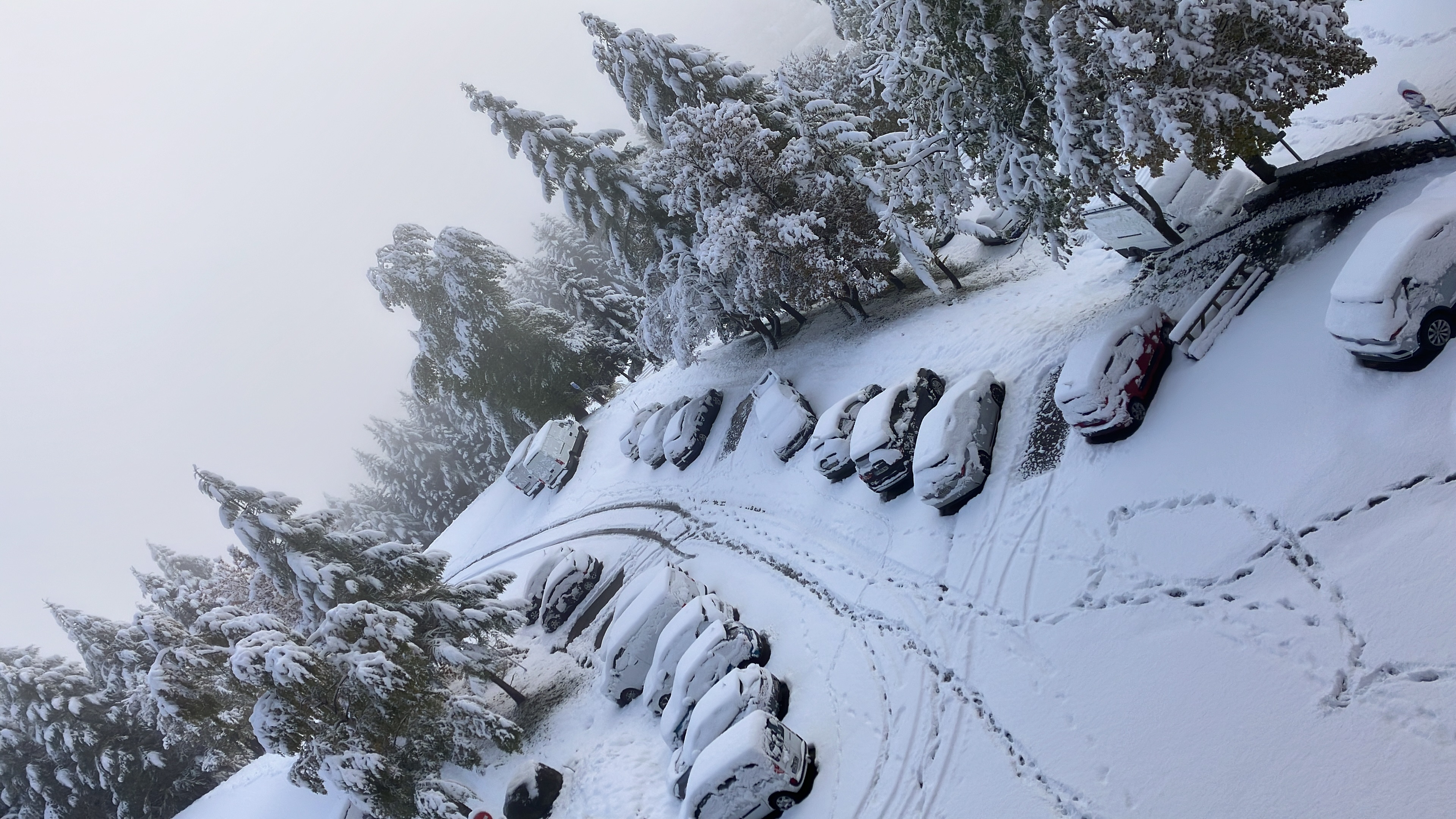 Parking-1
