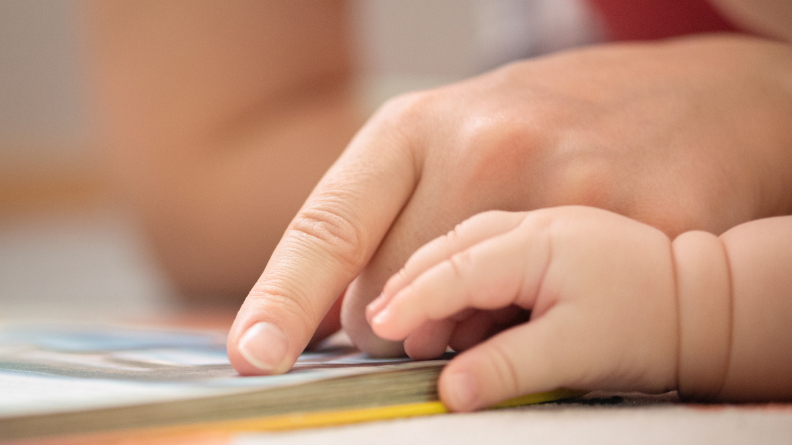 Activite nomenclature montessori