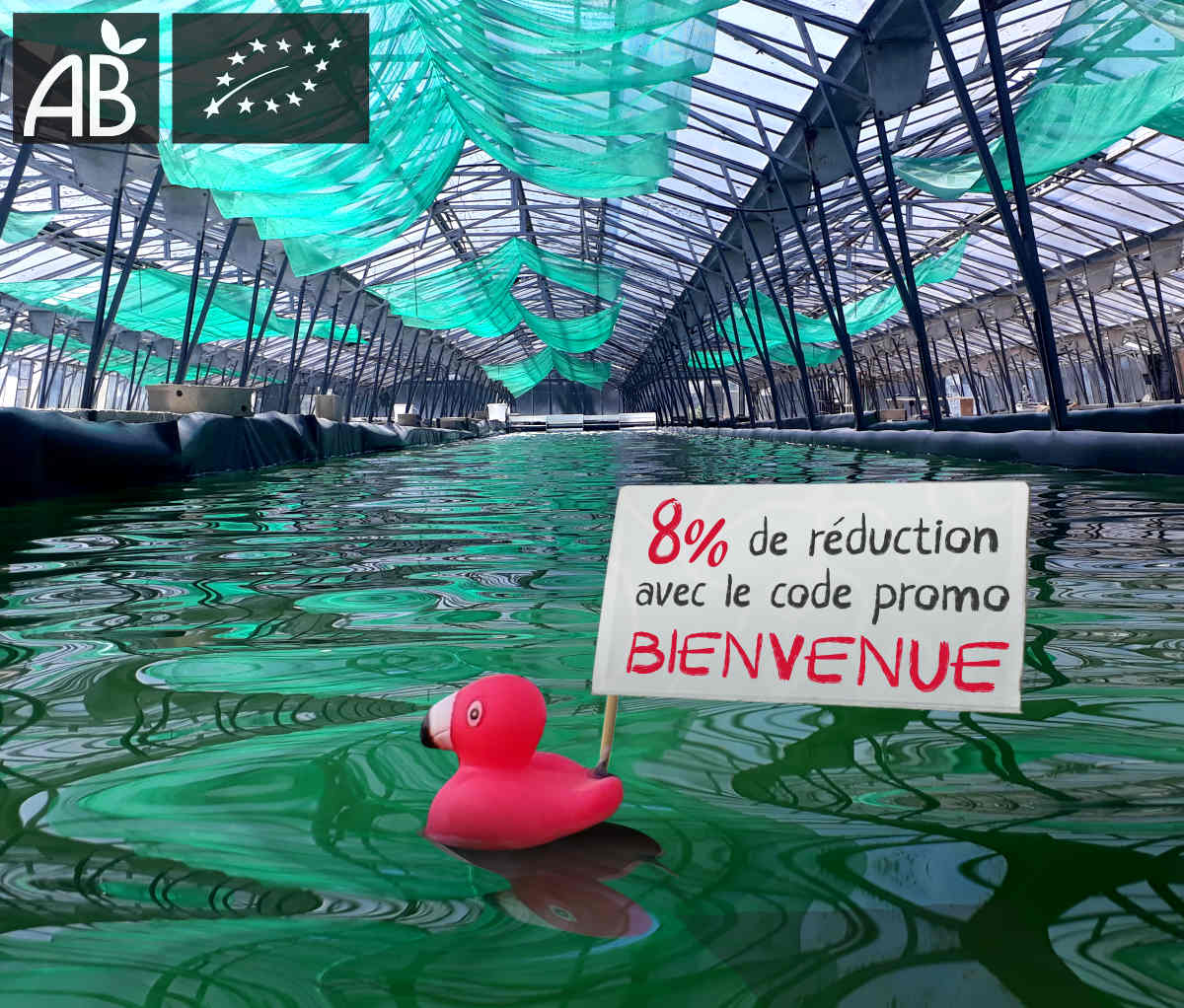 bassin de spiruline bio ferme francaise promo