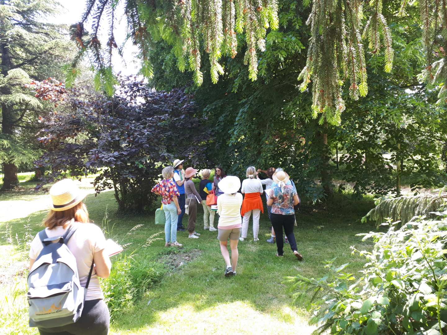 Sortie RECONNAISSANCE DES PLANTES SAUVAGES