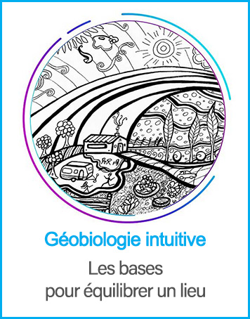 Basesgeobio