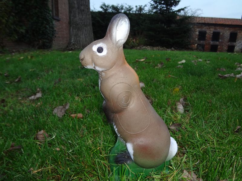 Lapin