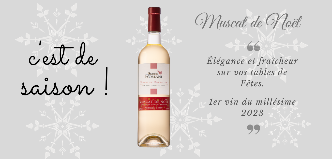 Muscat de noel 