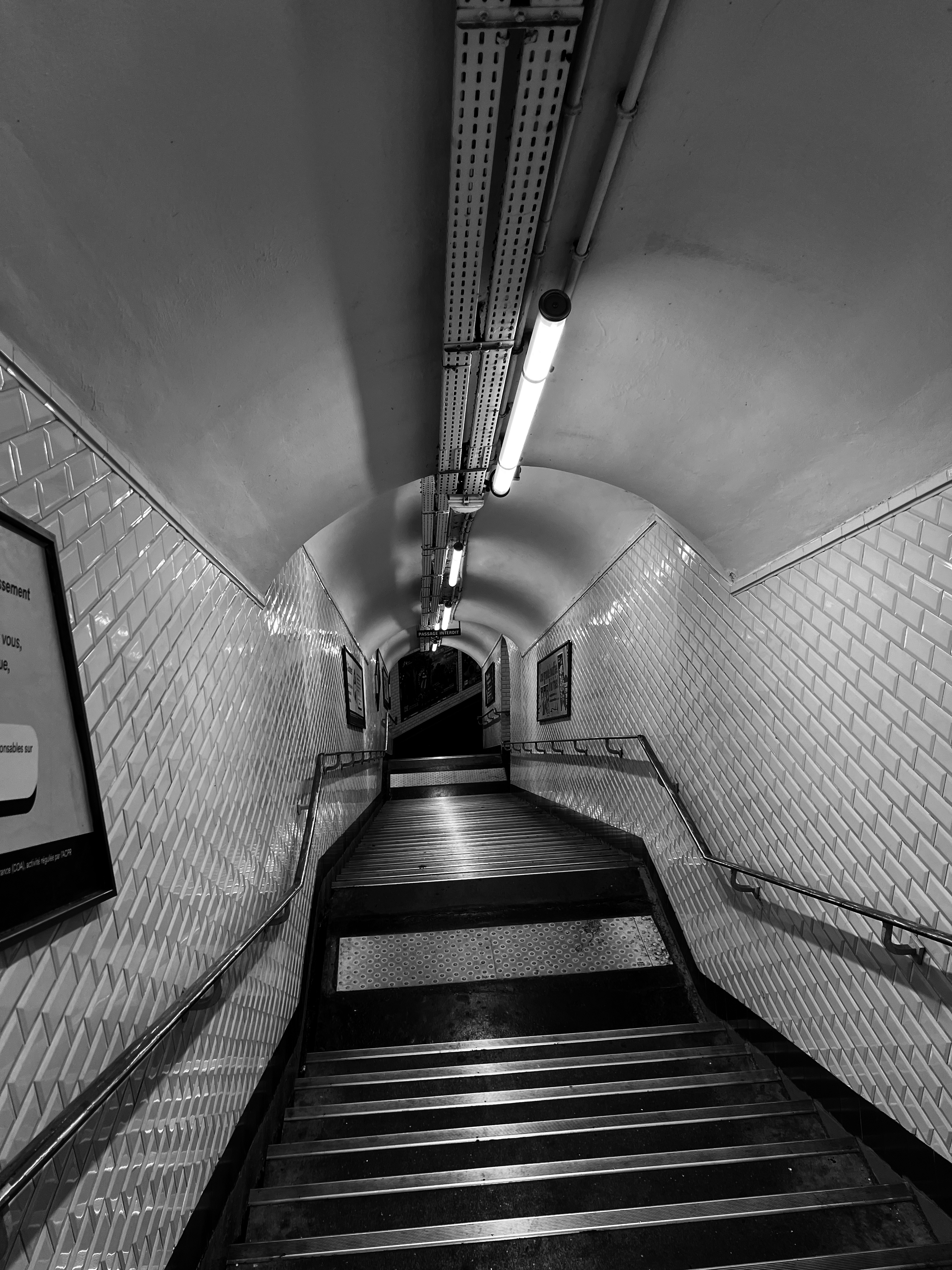 Img 0560