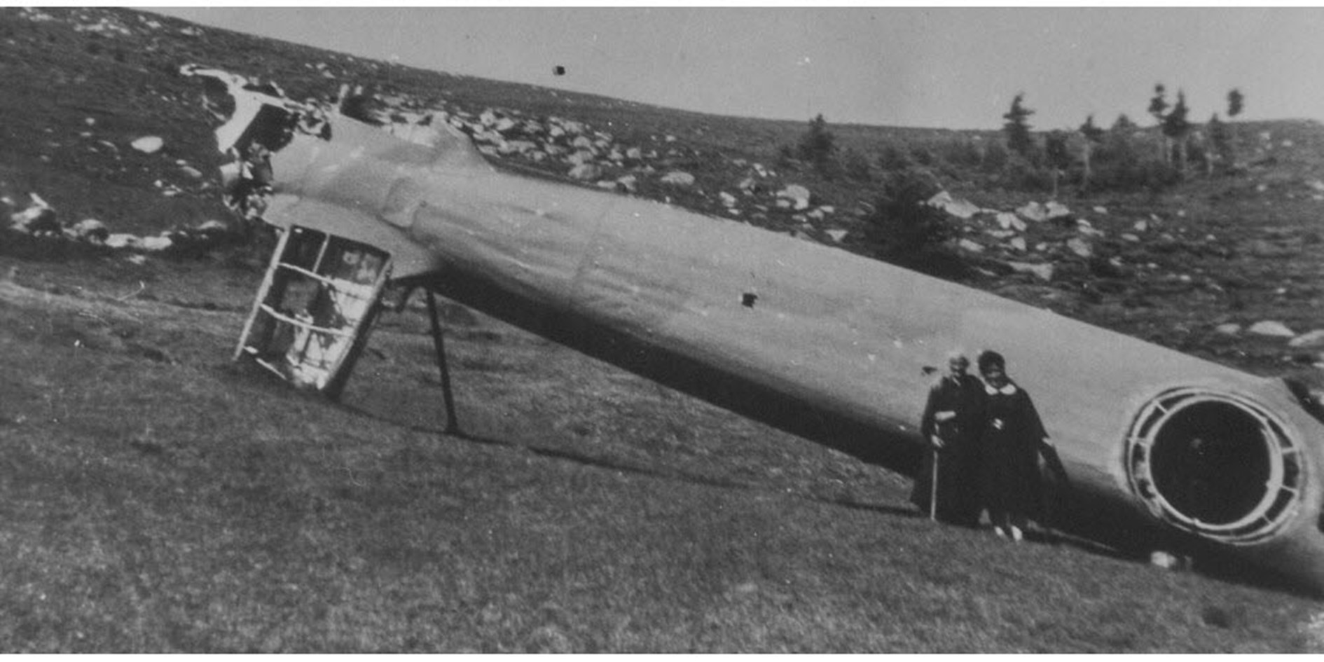 Image1