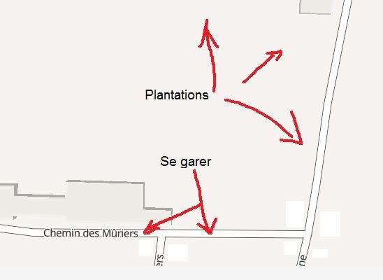 Plantation samedi 25 novembre - 9h à Parcieux