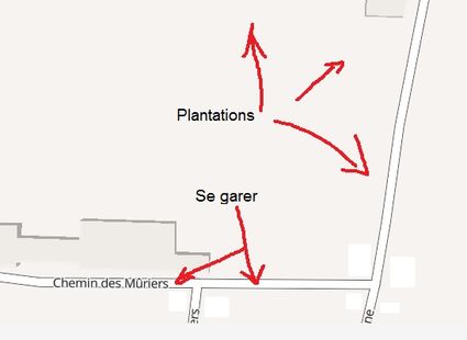 Plantation samedi 25 novembre - 9h à Parcieux