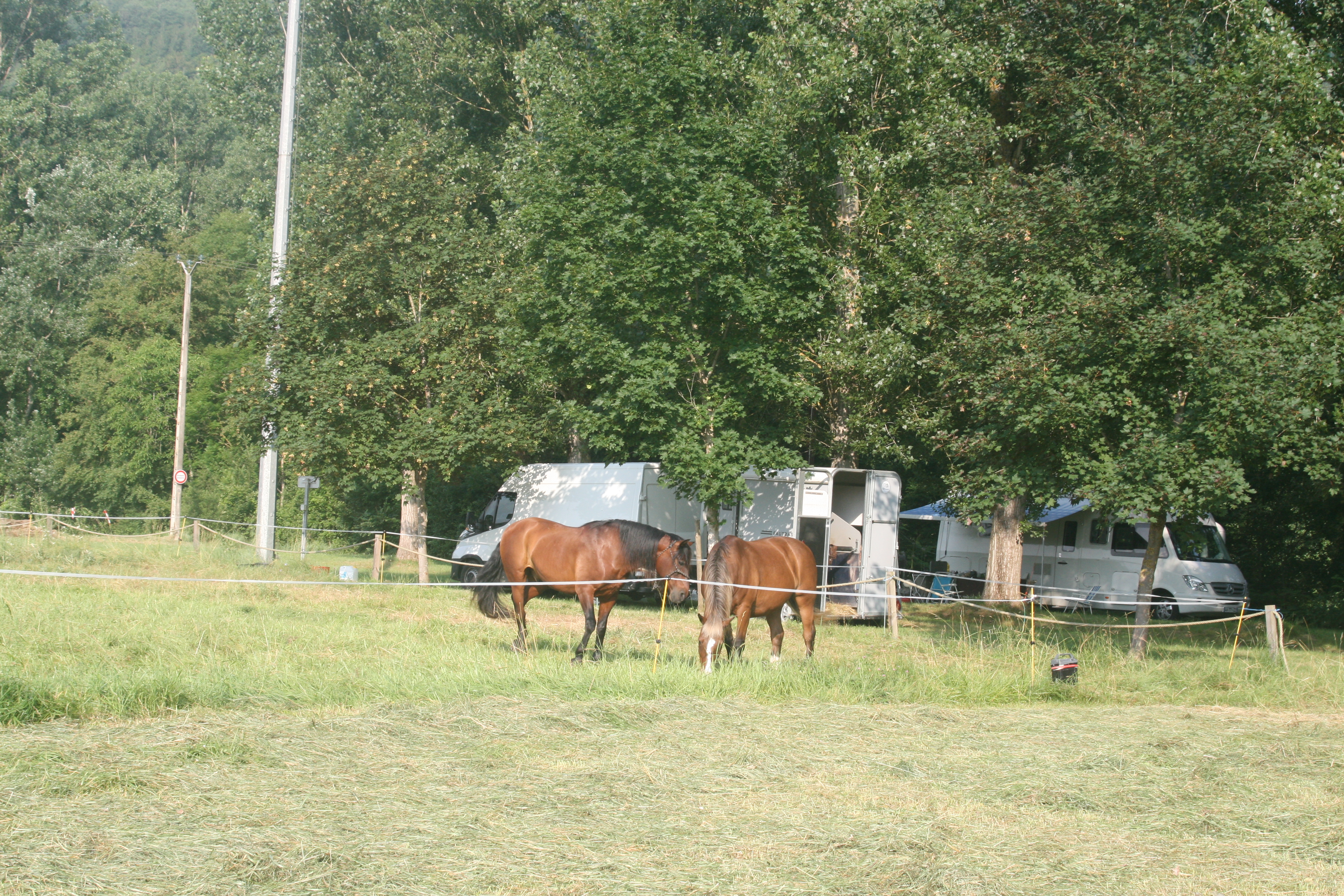 IMG 0799