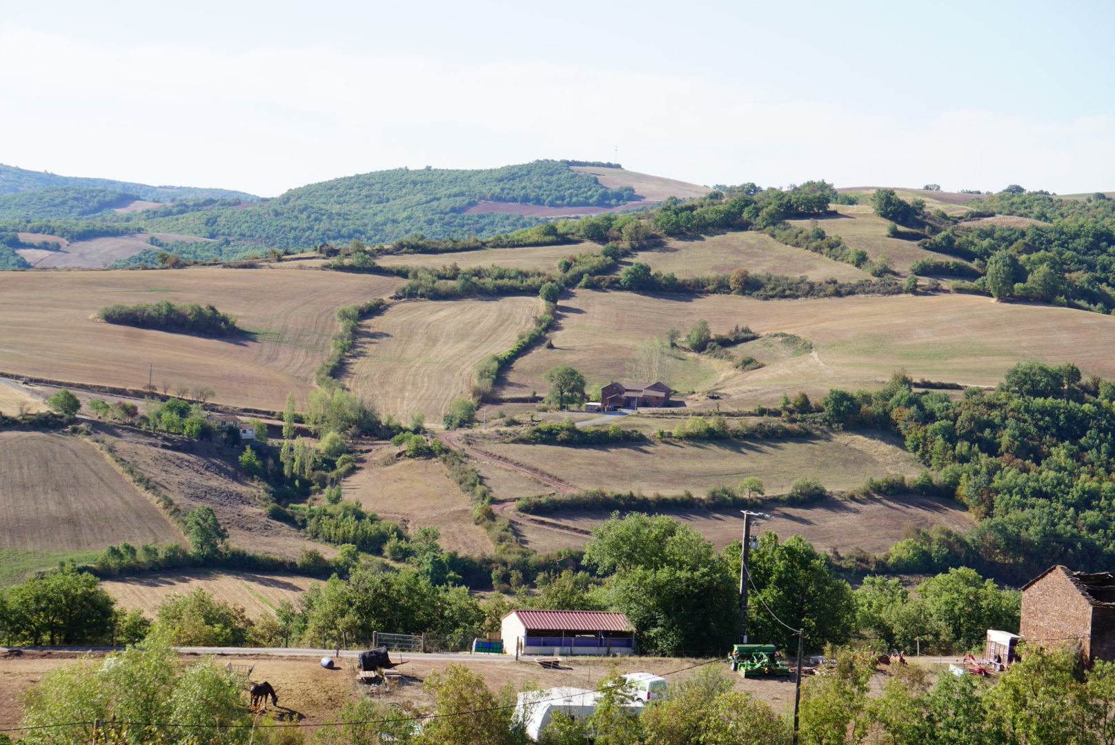 Image00005