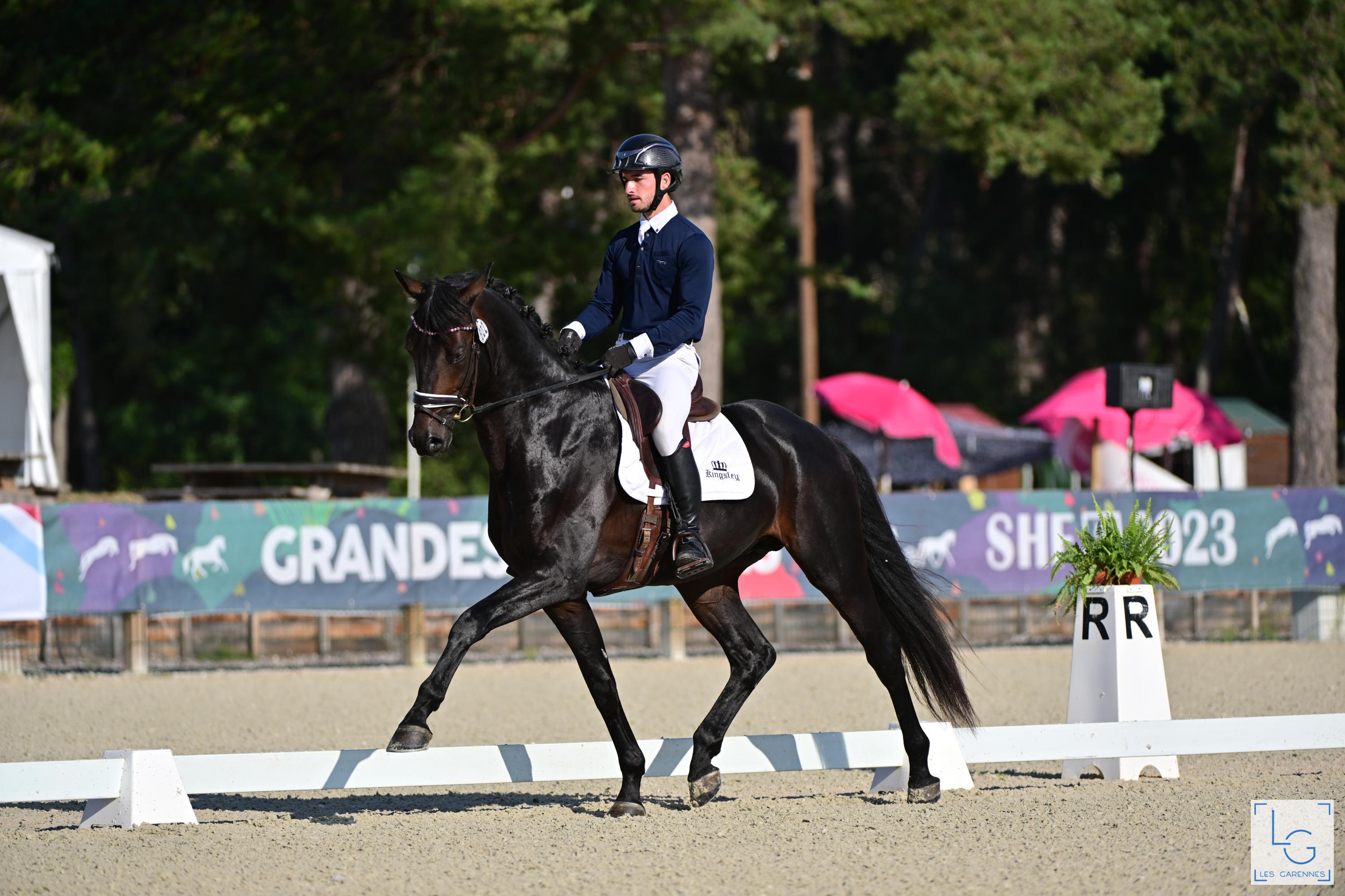2023 09 10gsdressage stevanella brice irish coffee de valdi w92 1383
