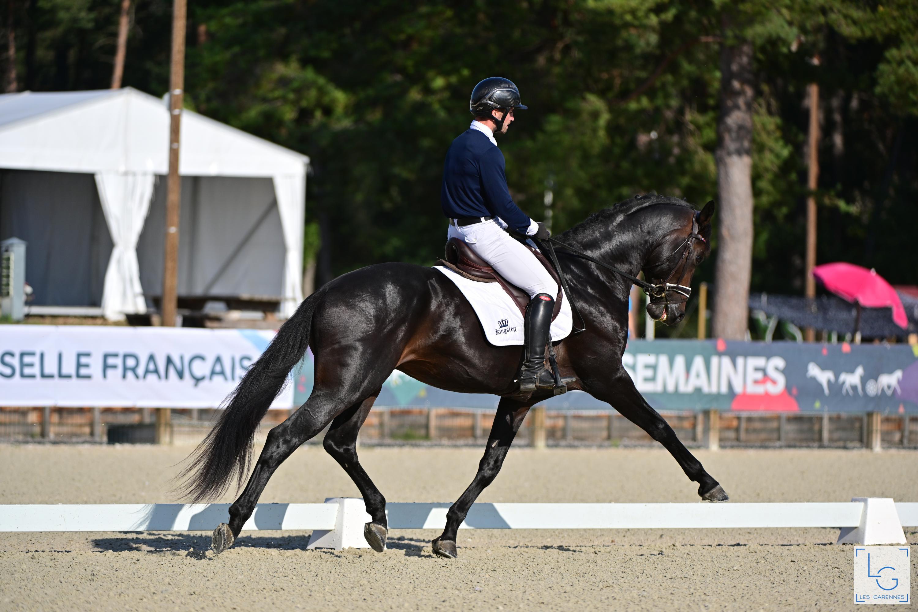 2023-09-10gsdressage-stevanella-brice-irish-coffee-de-valdi-w92 1409