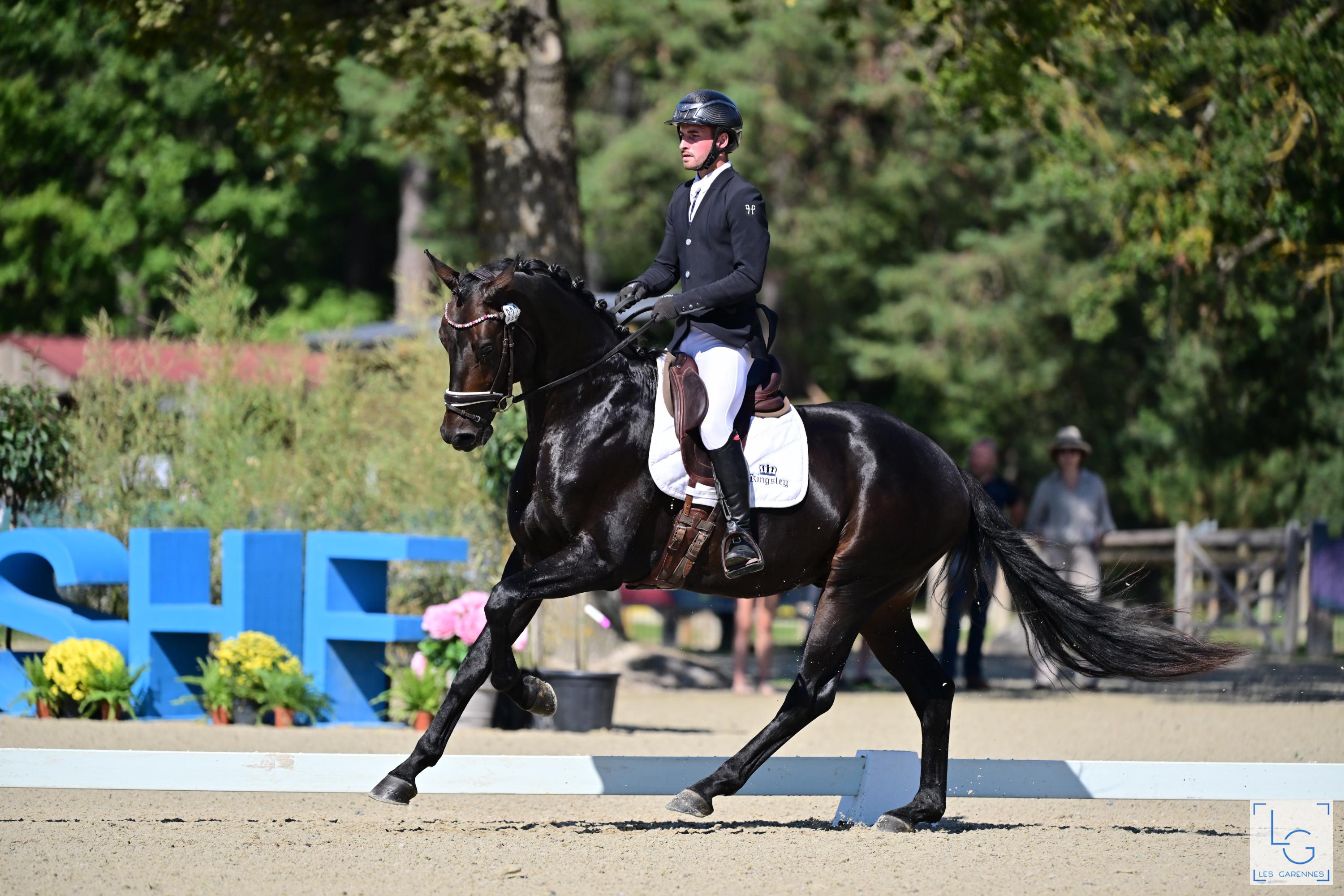 2023 09 10gsdressage stevanella brice irish coffee de valdi z91 2243
