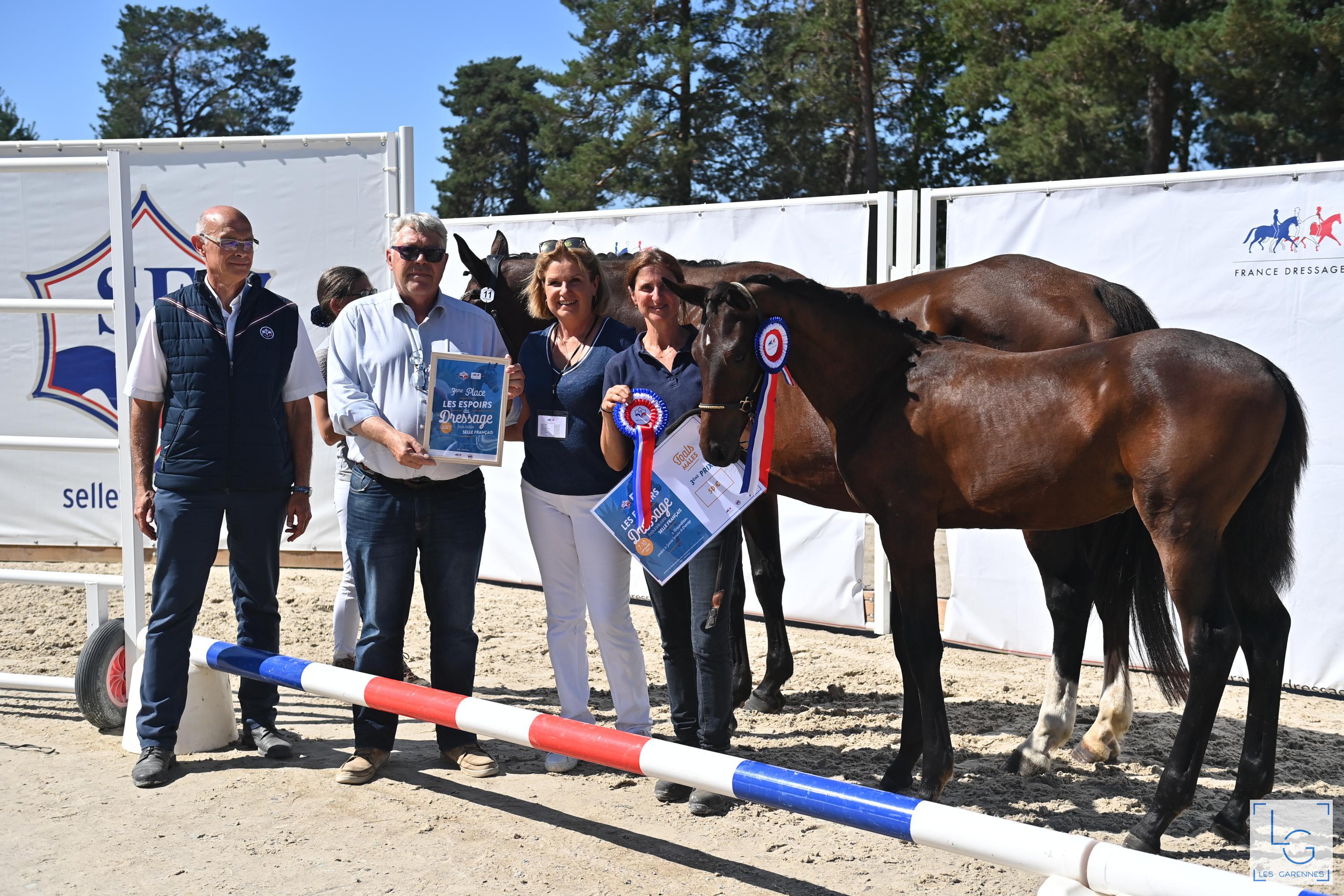 2023 09 10francedressage faure curt celine new castele de valdi z62 6917