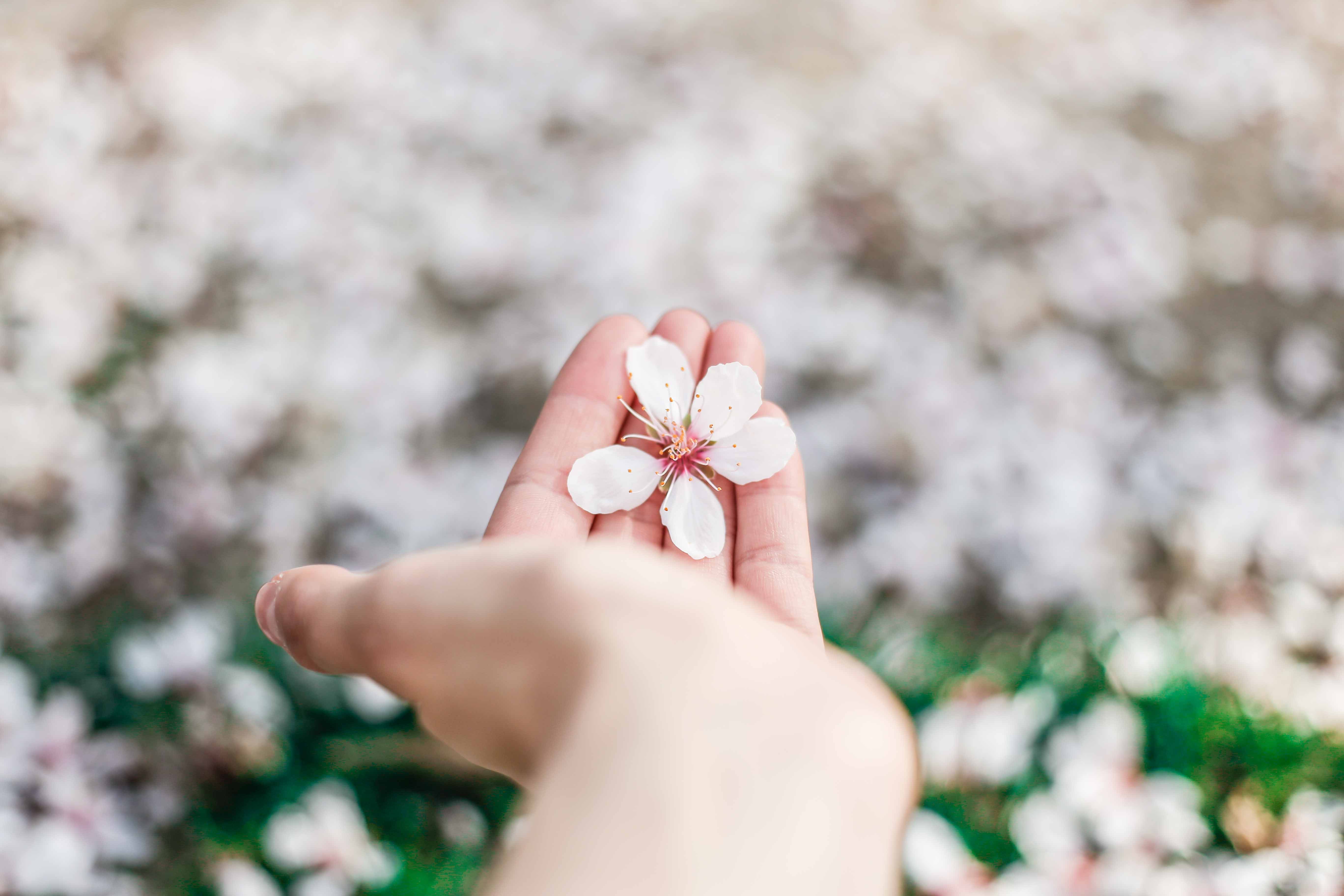 Ornella-binni-080EpPTmOxc-unsplash