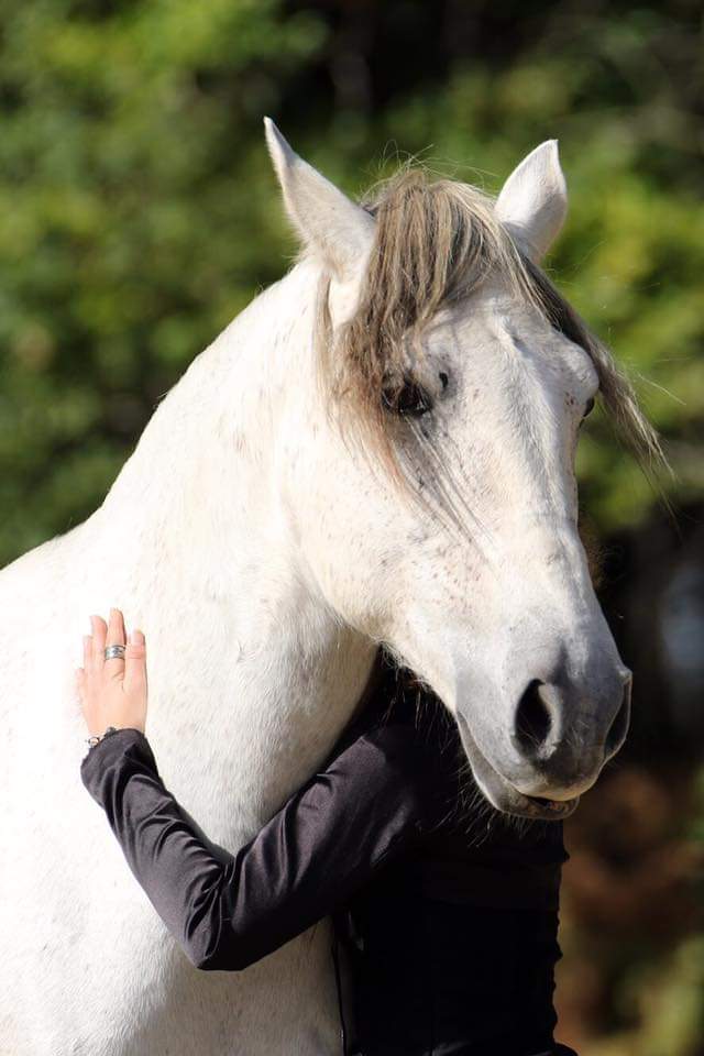 FB IMG 1558000820123