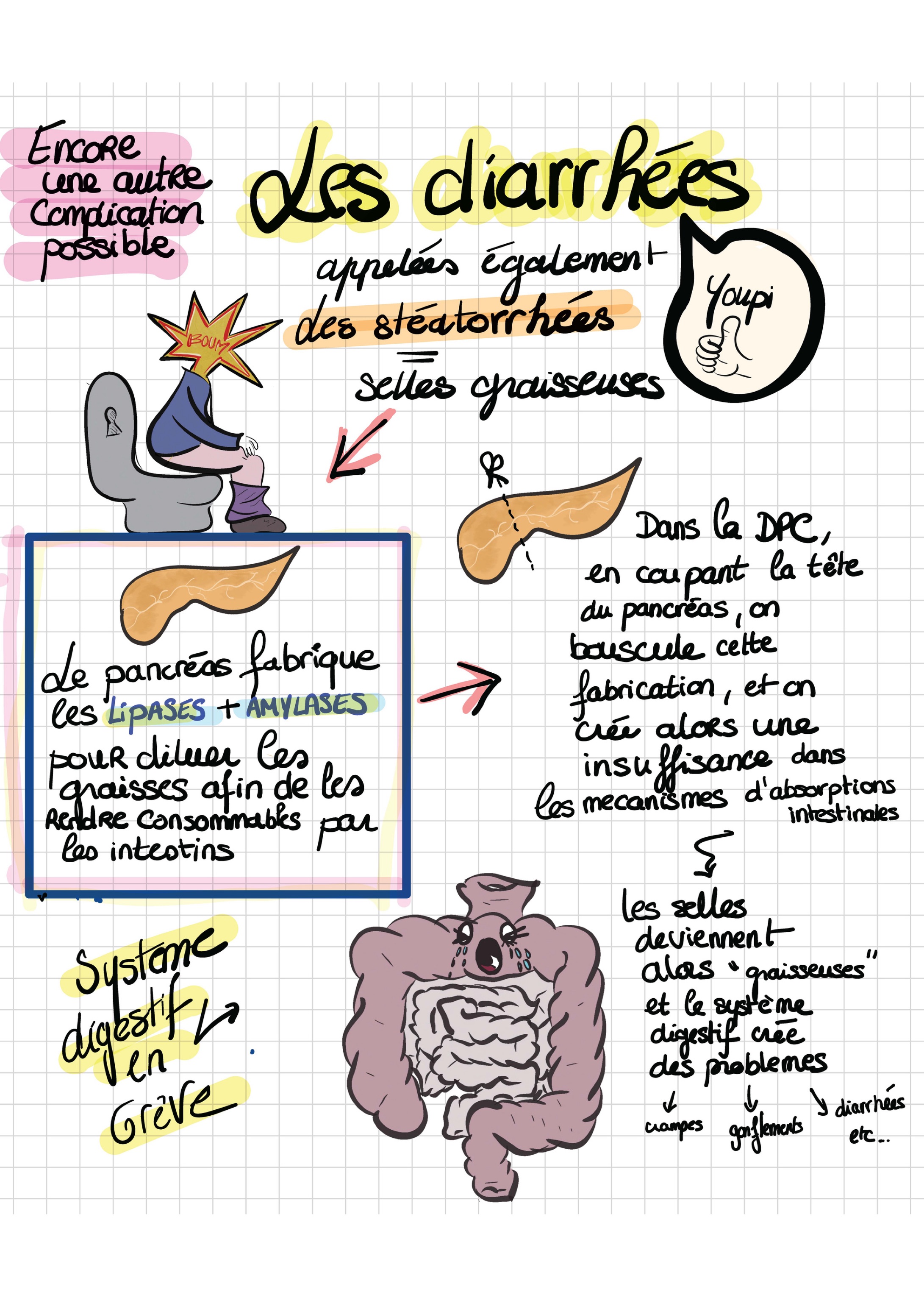 Doc patient vaiana dpc montee vfinale 2 08