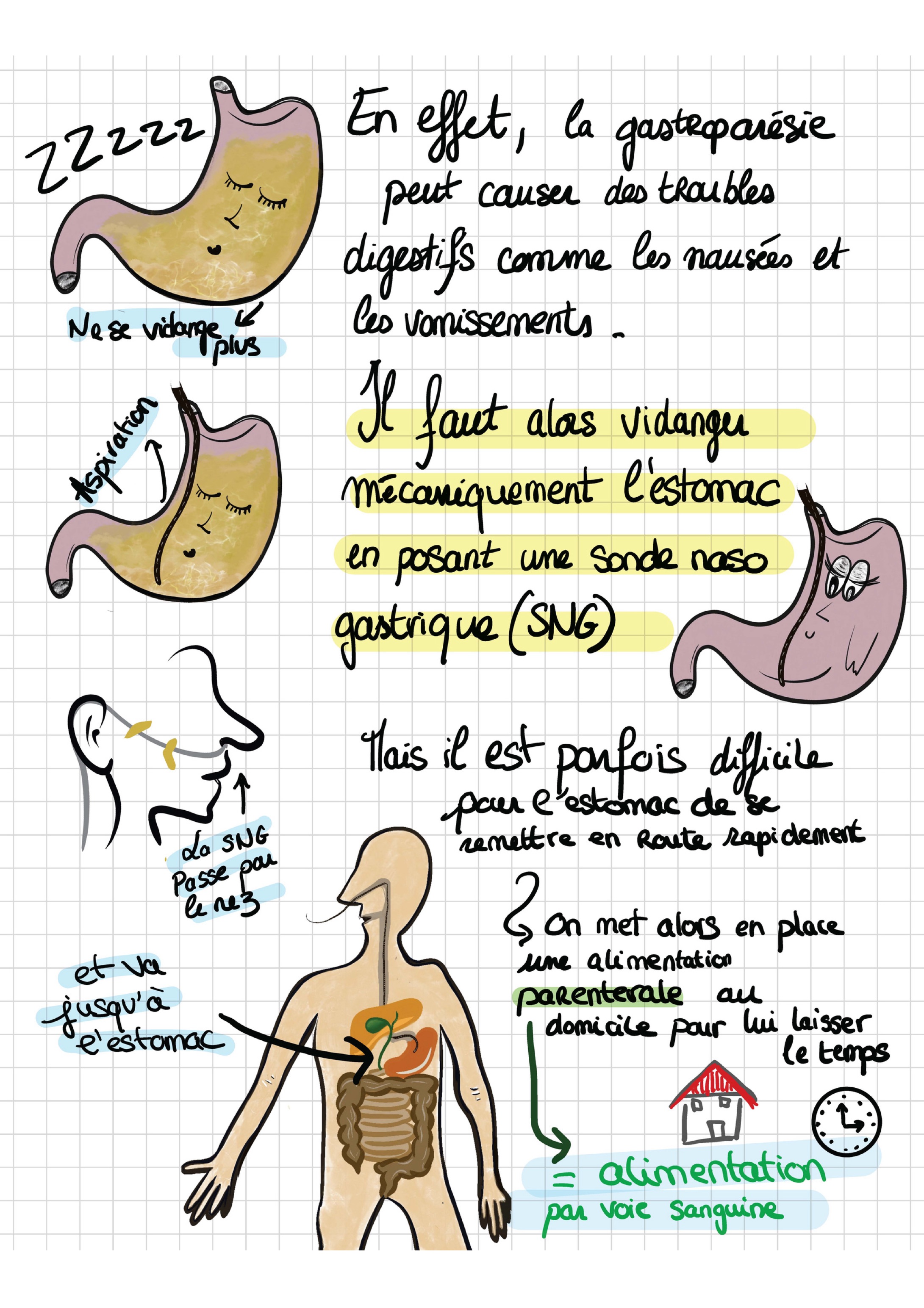 Doc patient vaiana dpc montee vfinale 2 07