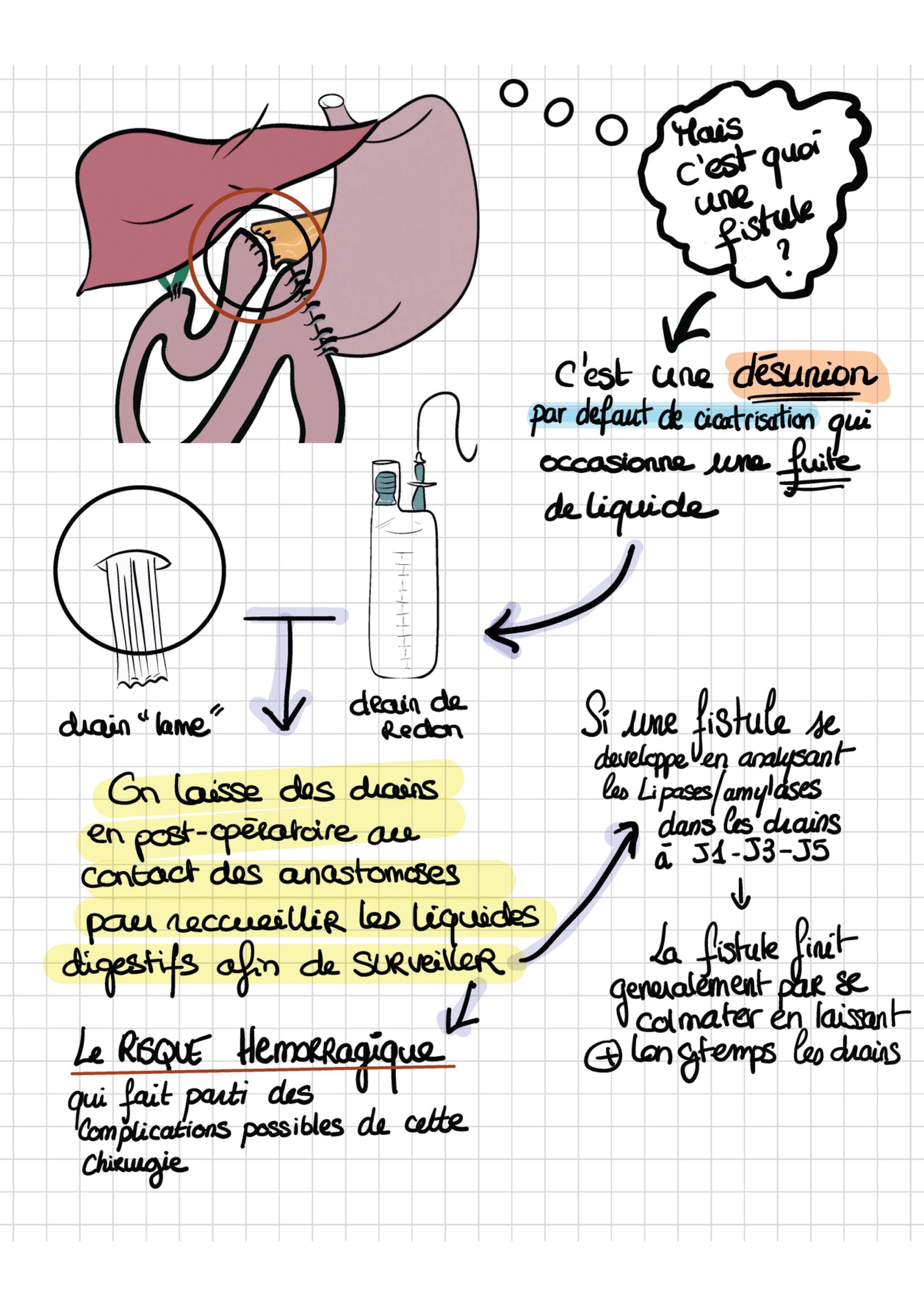 Doc patient vaiana dpc montee vfinale 2 05