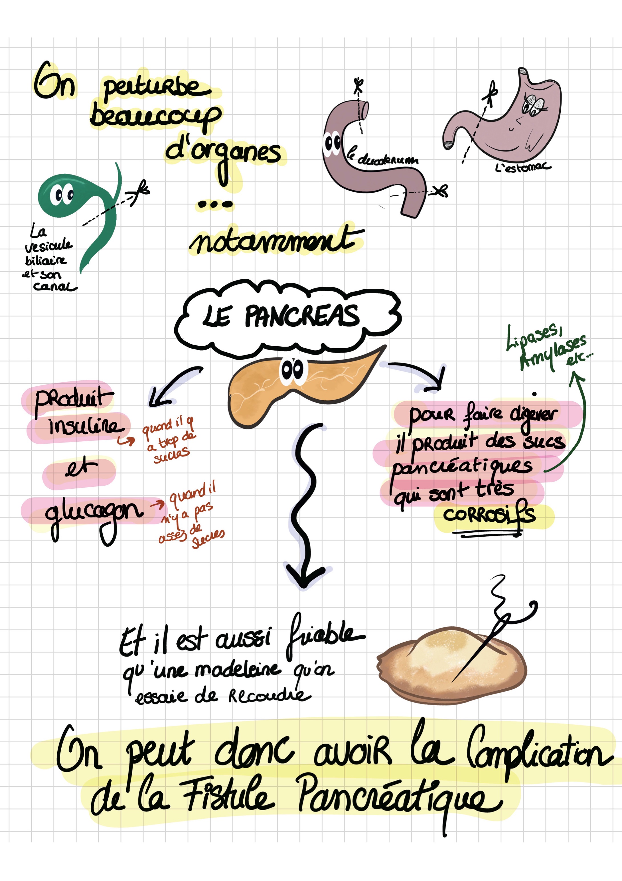 Doc patient vaiana dpc montee vfinale 2 04