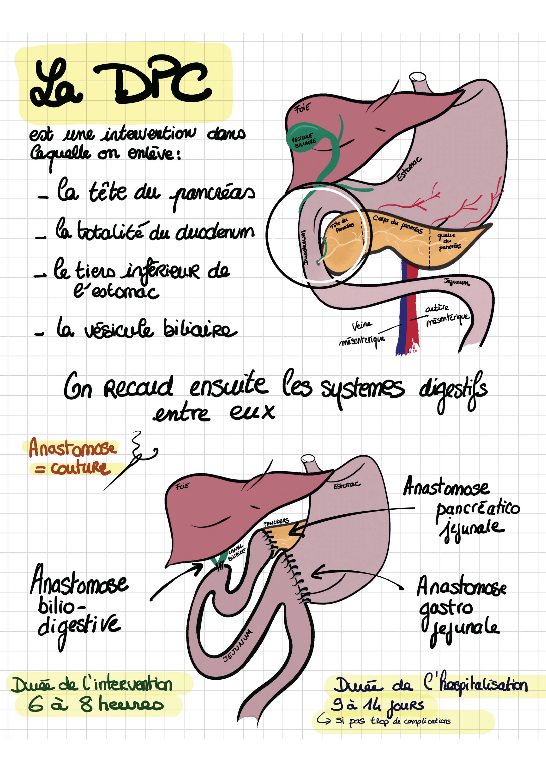 Doc patient vaiana dpc montee vfinale 2 03