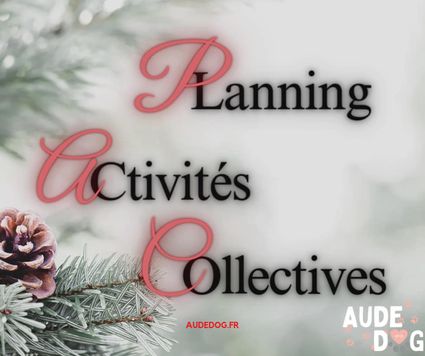 Planning des activités collectives de Décembre