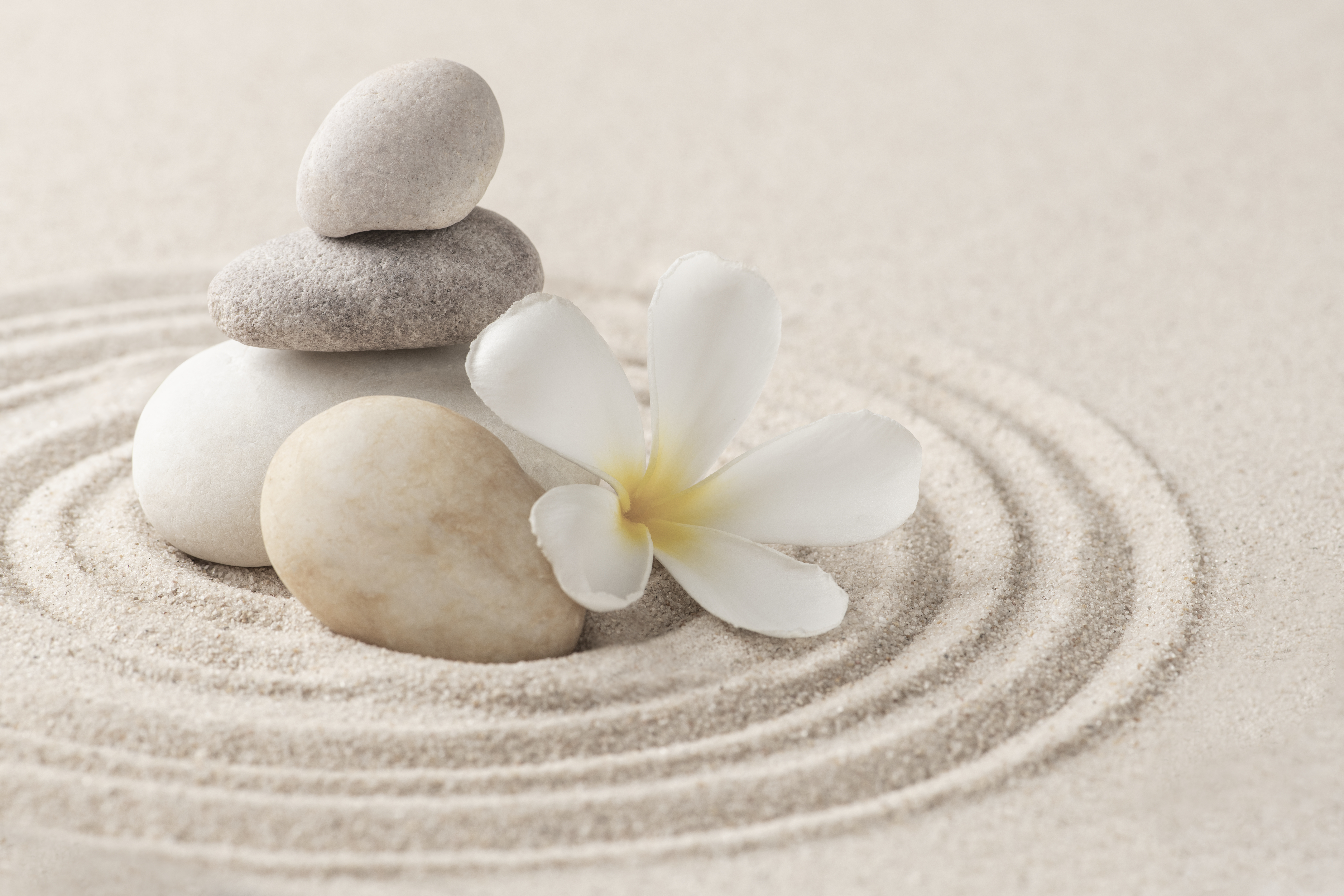 🌿 The Unsuspected Power of Well-Being Through Copywriting 😌