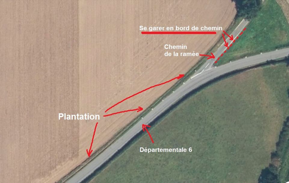 Plantation samedi 9 décembre - plateau de Reyrieux - 9h